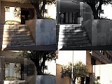 alb-collage.jpg