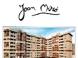 joanmiro.jpg
